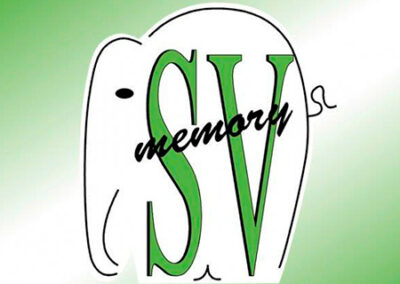 SV Memory